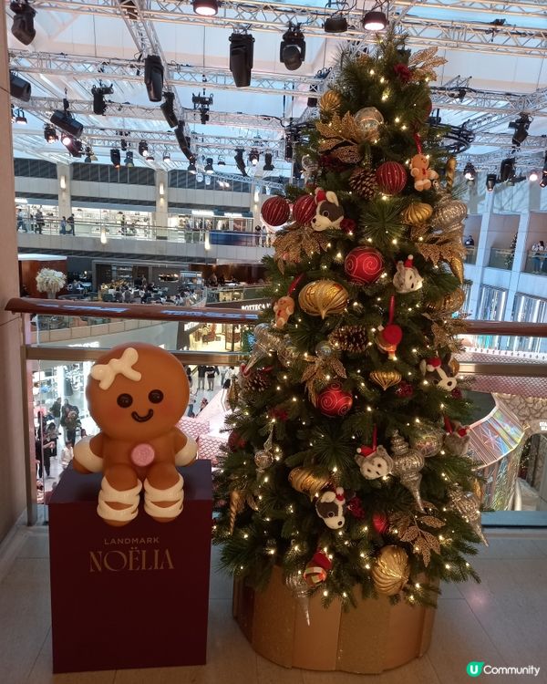 20-12-2025 置地廣場