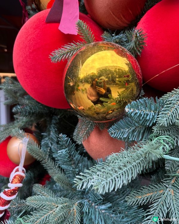 聖誕氣氛濃烈嘅深圳🎄