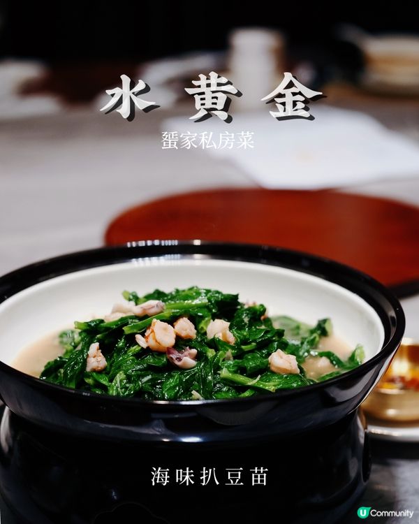 筲箕灣水黃金！蜑家菜🤤 11斤老虎斑！🐟