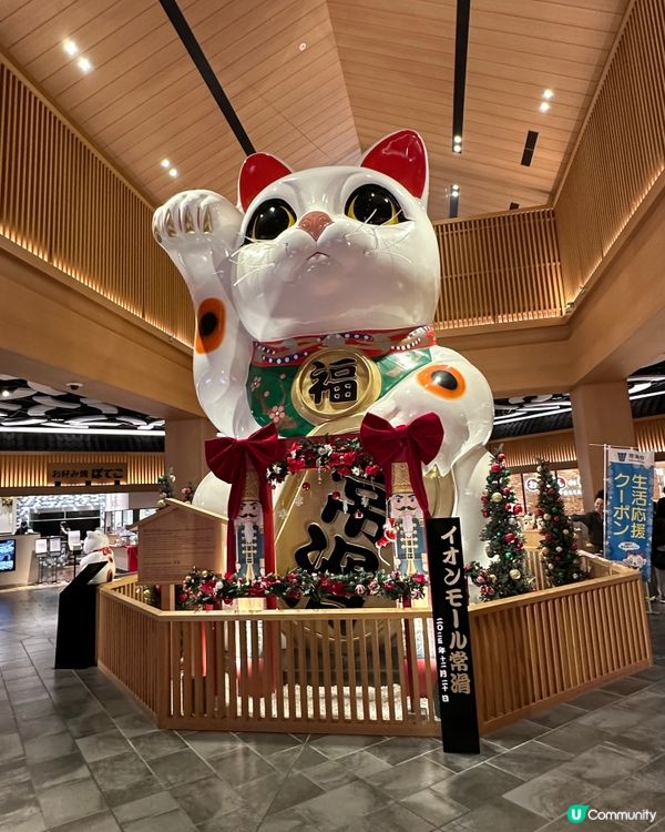 常滑市尋貓記