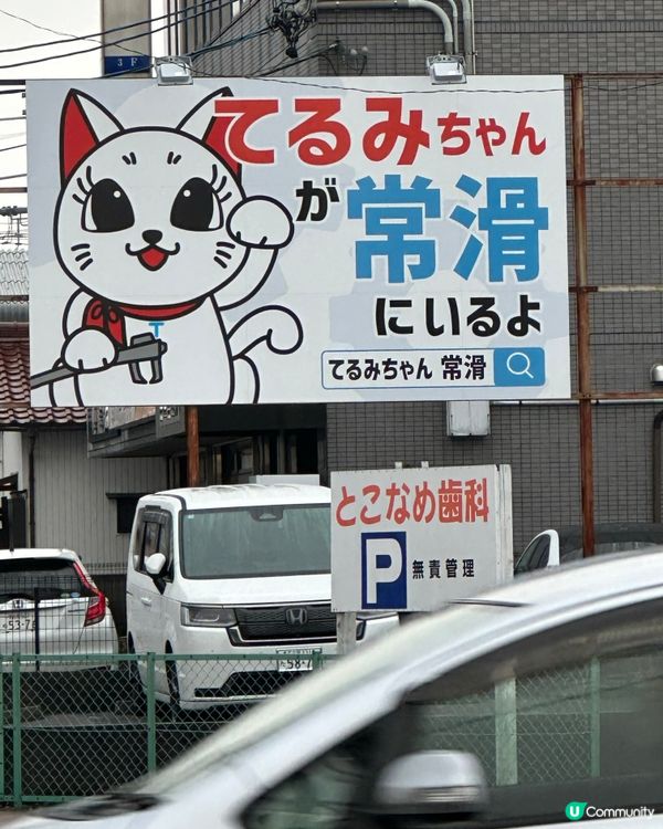 常滑市尋貓記