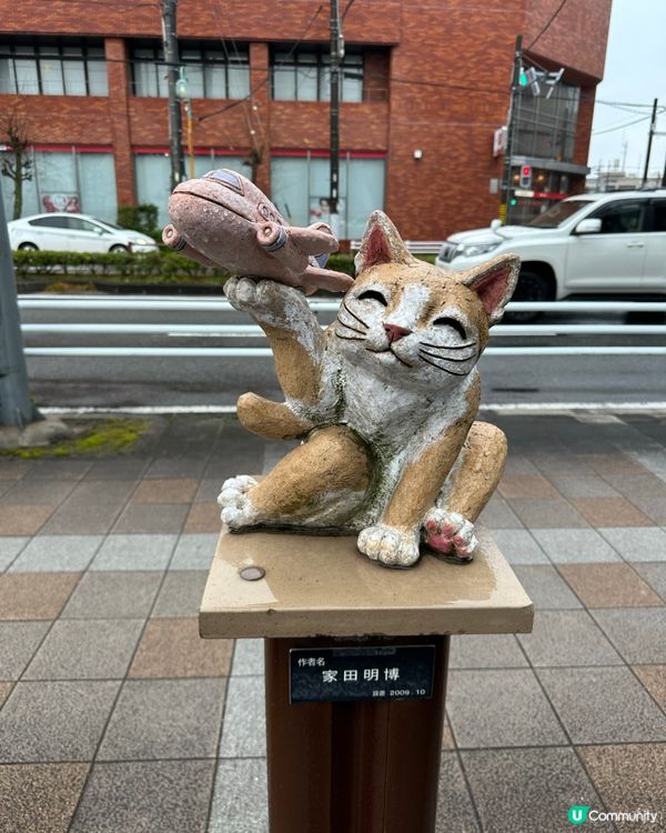 常滑市尋貓記
