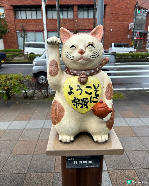 常滑市尋貓記