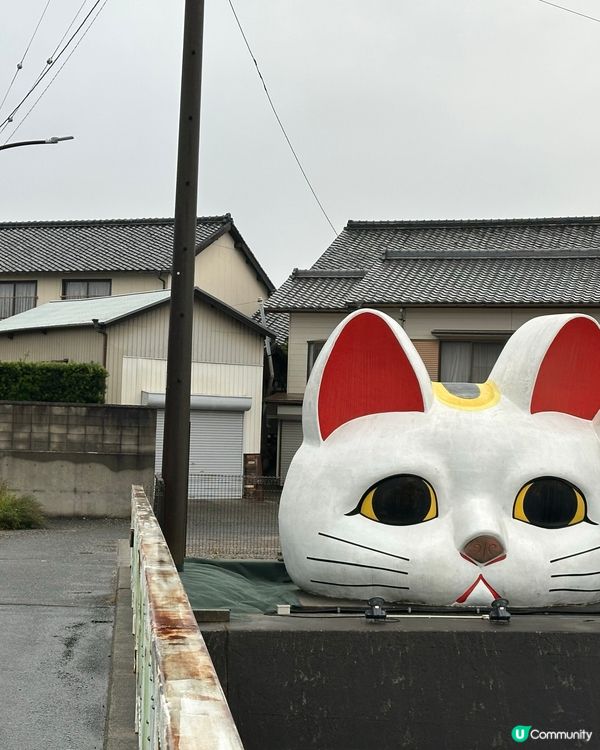 常滑市尋貓記