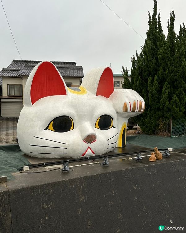 常滑市尋貓記