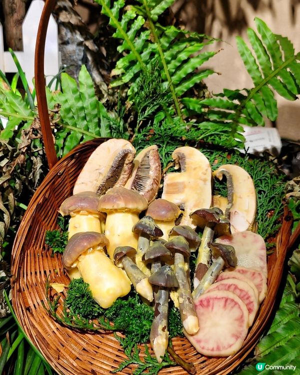 山野融合×庭園風享受有質素肉肉🫶🏻