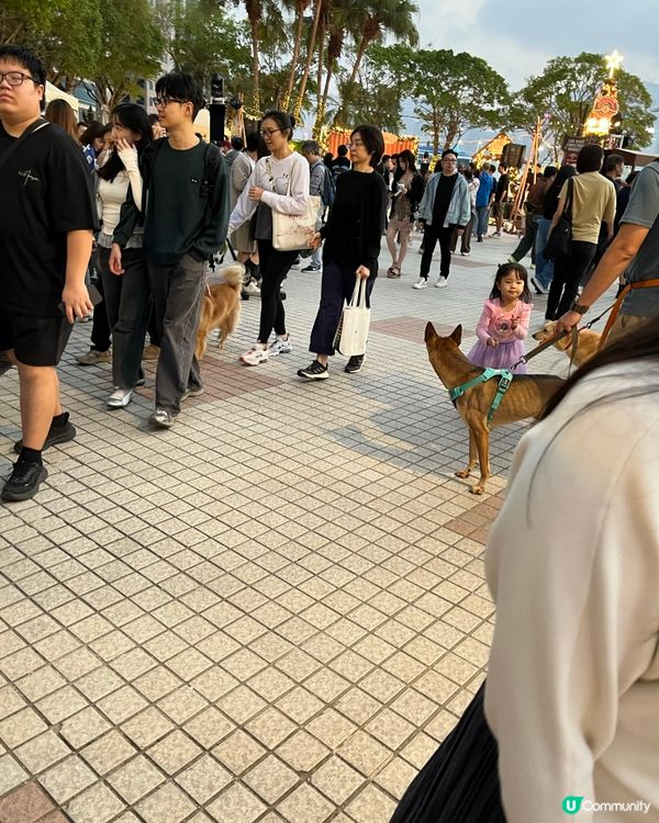 中港城聖誕市集