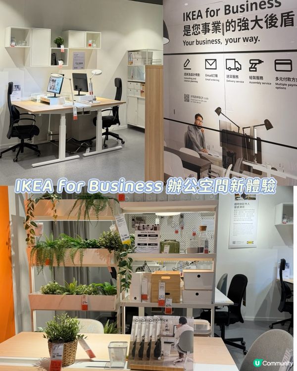 九龍灣新店開幕🤩 11萬呎家居靈感🛋️ 瑞典美食😋