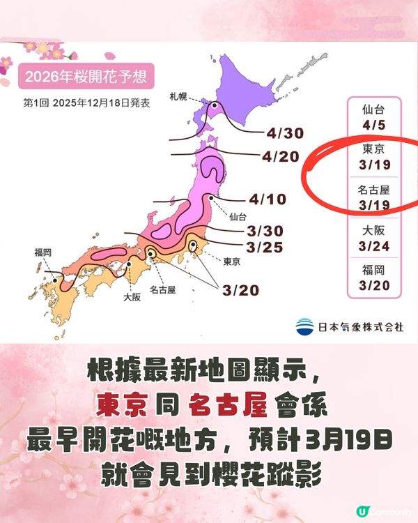 【2026日本賞櫻全攻略】首波預測出爐！東京名古屋率先開跑 ！教你分辨4大常見品種🌸