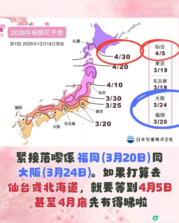 【2026日本賞櫻全攻略】首波預測出爐！東京名古屋率先開跑 ！教你分辨4大常見品種🌸