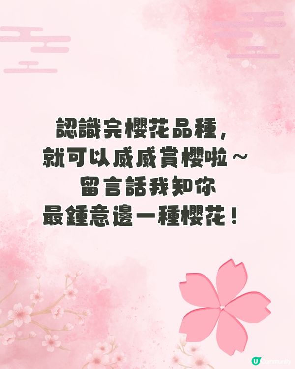 【2026日本賞櫻全攻略】首波預測出爐！東京名古屋率先開跑 ！教你分辨4大常見品種🌸