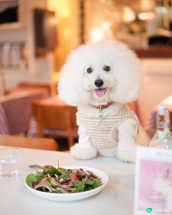 SOHO東臨海新意式餐廳，毛孩可陪食🐶🍝