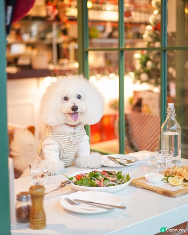 SOHO東臨海新意式餐廳，毛孩可陪食🐶🍝