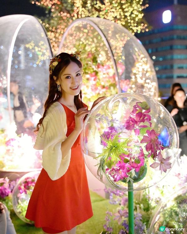 夢幻又童話嘉年華 好有聖誕氣氛 ✨