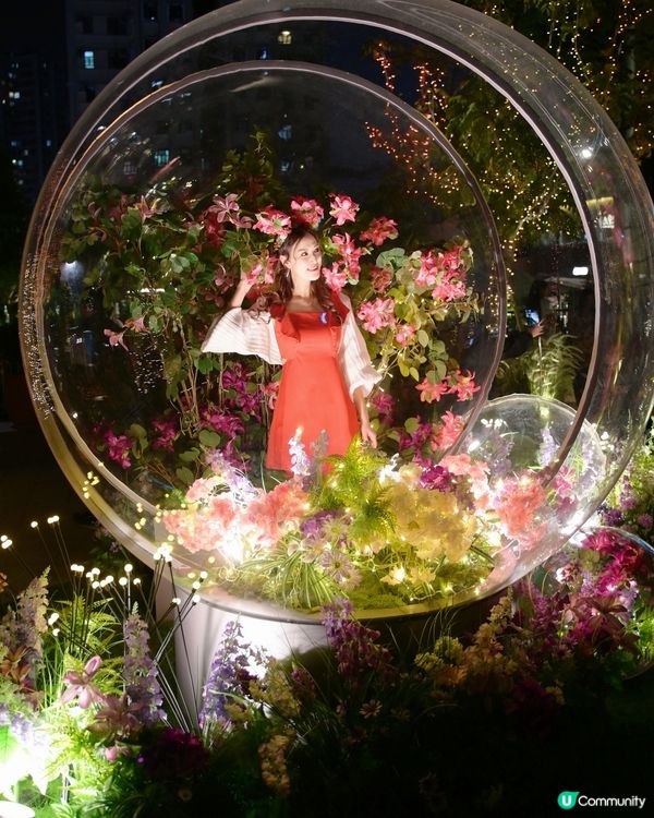 夢幻又童話嘉年華 好有聖誕氣氛 ✨