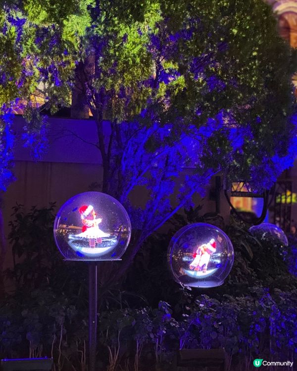 聖誕燈飾打卡攻略📸！中環勁靚🤩！一家大細去邊好？🎄✨