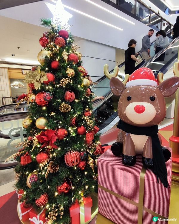 最紅嘅聖誕暖笠笠打卡位🎄🎁 7米高聖誕樹屋！