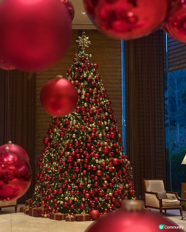 聖誕限定-儀式感滿分下午茶🎄✨