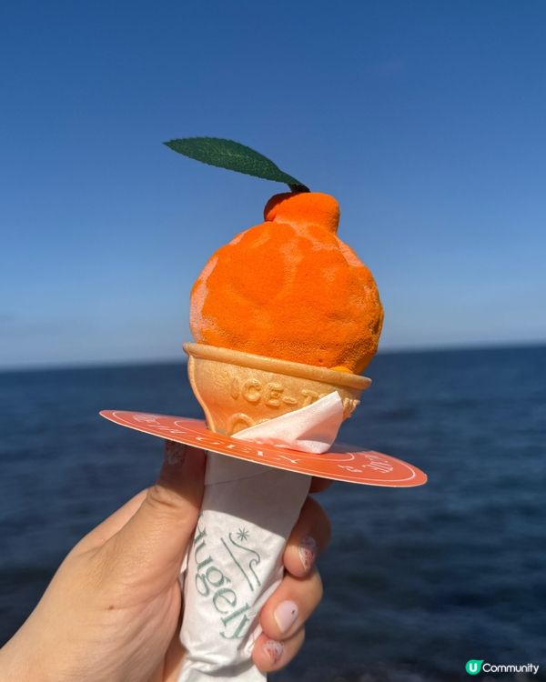 濟州機場🍦必食！柑橘🍊石頭雪糕😋！海景打卡📸！