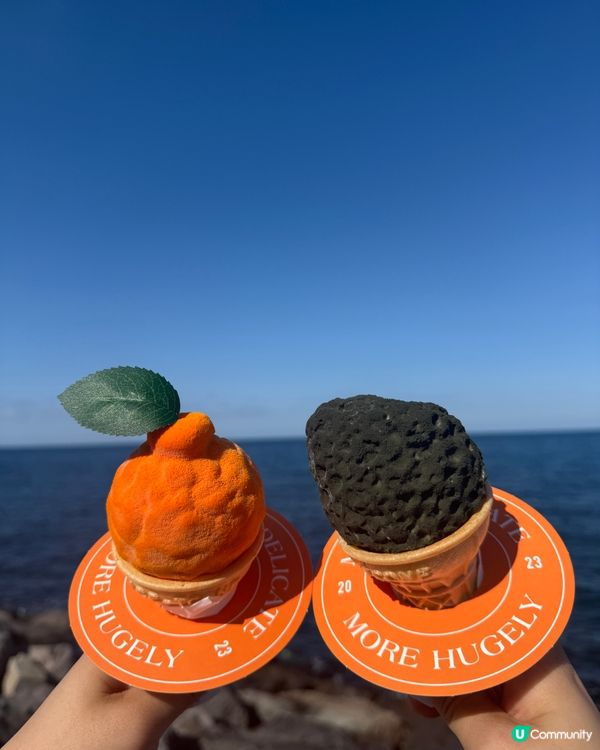 濟州機場🍦必食！柑橘🍊石頭雪糕😋！海景打卡📸！