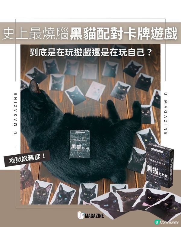 史上最燒腦黑貓配對卡牌遊戲|到底是在玩遊戲還是在玩自己？