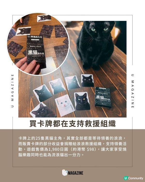史上最燒腦黑貓配對卡牌遊戲|到底是在玩遊戲還是在玩自己？