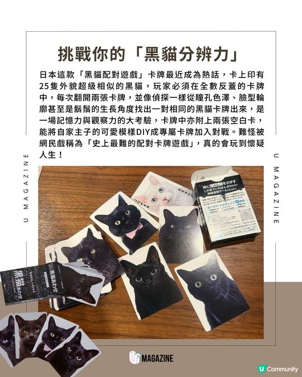 史上最燒腦黑貓配對卡牌遊戲|到底是在玩遊戲還是在玩自己？
