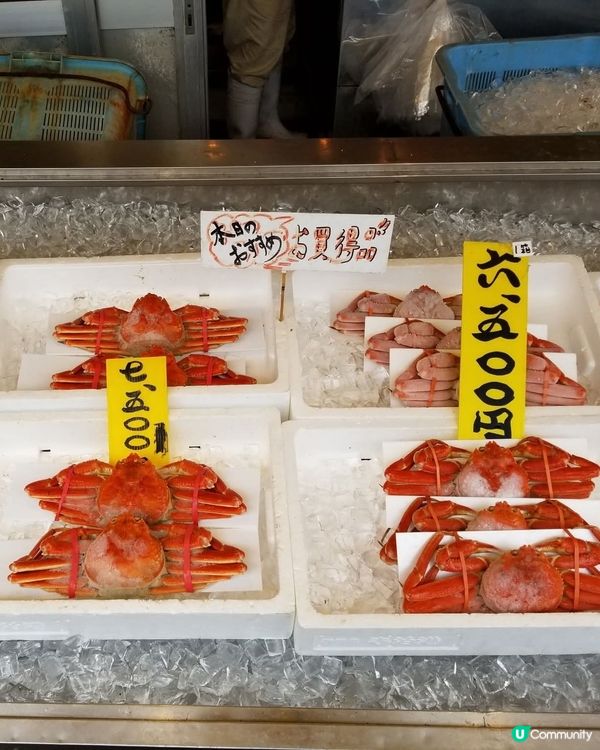 寺泊漁港🌊！新潟海鮮天堂🤤，食買玩全攻略！