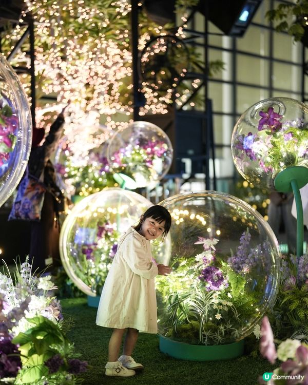 ་۪  聖誕奇幻馬戲團嘉年華 𐂂𖥧