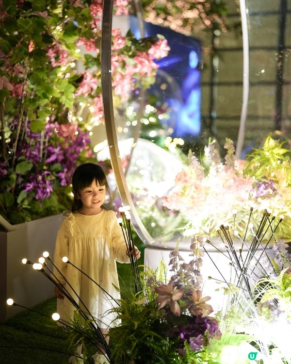 ་۪  聖誕奇幻馬戲團嘉年華 𐂂𖥧