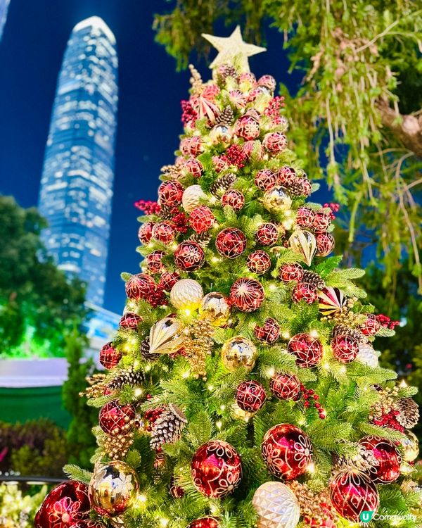 中環唔洗走回頭路聖誕打卡路線🎄