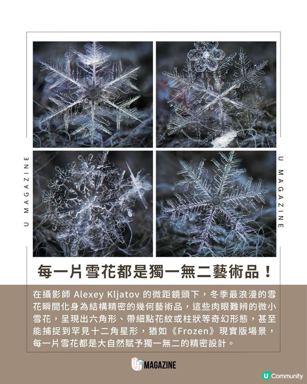《Frozen》現實版！攝影師鏡頭下的雪花