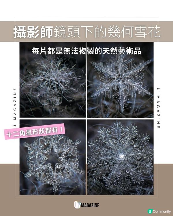 《Frozen》現實版！攝影師鏡頭下的雪花