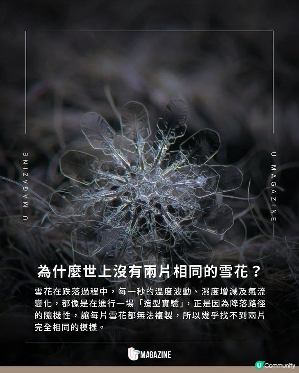 《Frozen》現實版！攝影師鏡頭下的雪花