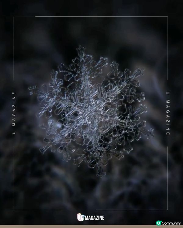 《Frozen》現實版！攝影師鏡頭下的雪花