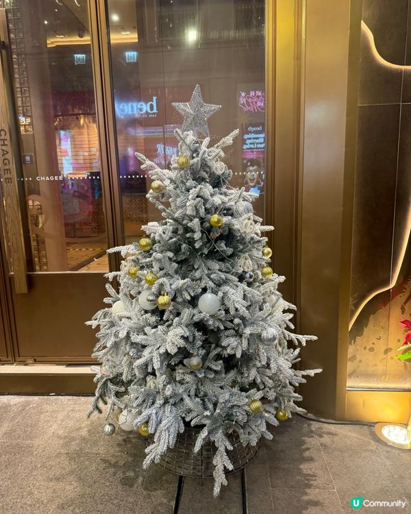 今年囍匯嘅聖誕裝飾真係好有氣氛 🎄