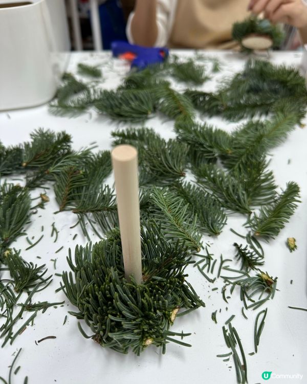 從零開始砌聖誕樹！新鮮松枝＋熱熔槍＝超有成就感🎄🔥