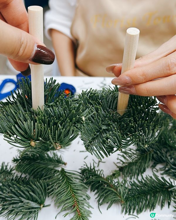 從零開始砌聖誕樹！新鮮松枝＋熱熔槍＝超有成就感🎄🔥
