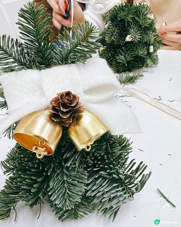 從零開始砌聖誕樹！新鮮松枝＋熱熔槍＝超有成就感🎄🔥