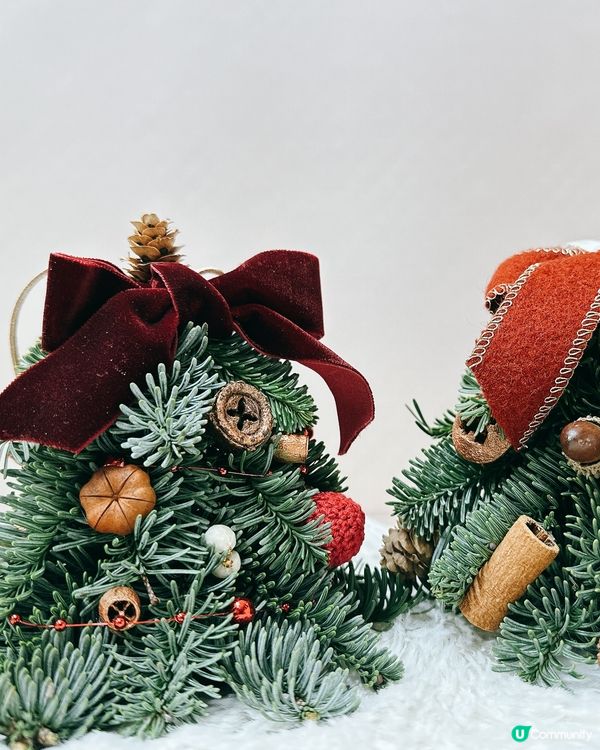 從零開始砌聖誕樹！新鮮松枝＋熱熔槍＝超有成就感🎄🔥