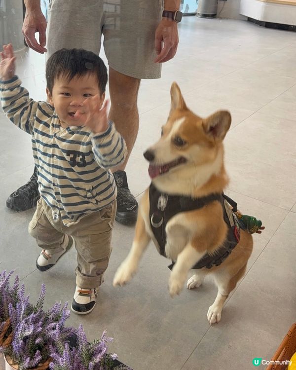 1. 新蒲崗隱世Cafe！3000呎超大空間🤩聚會一流！