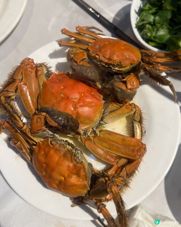 深圳領先任食138