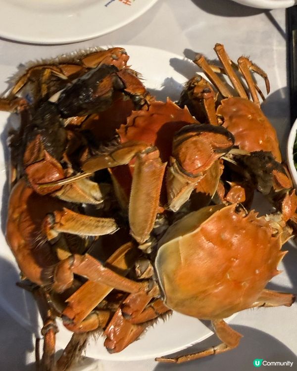 深圳領先任食138