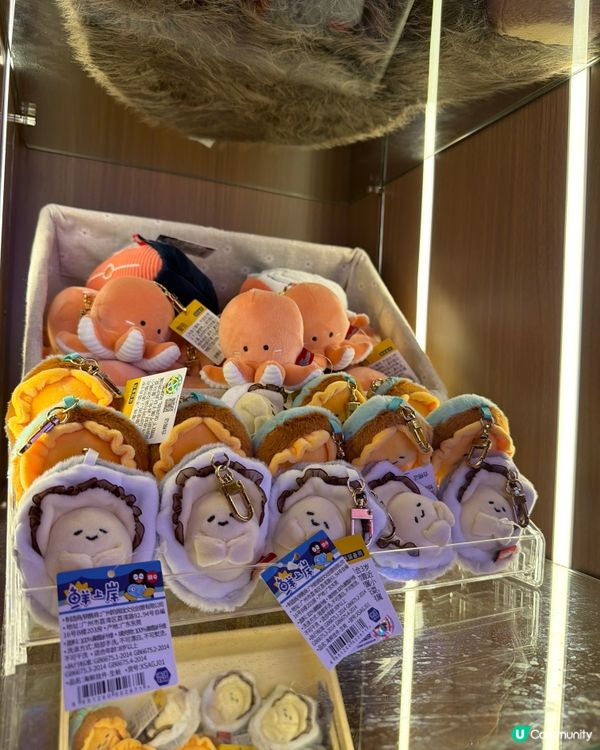 沙田夾公仔新蒲點🥳 易夾到爆！