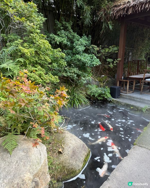 廣州高級素餐廳 聞風相悅