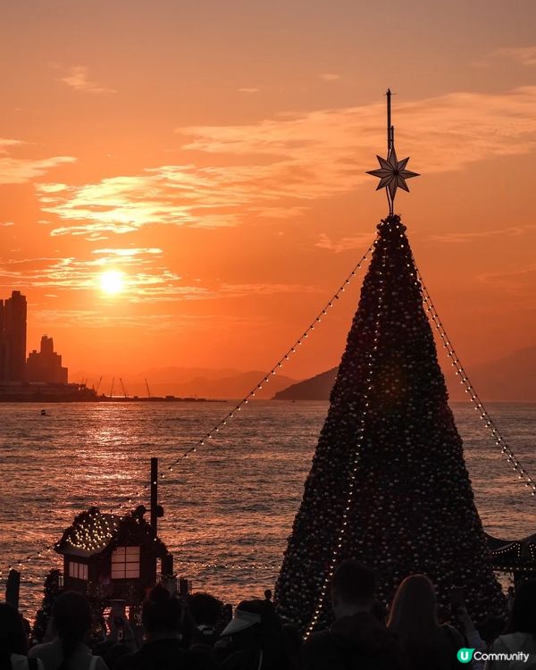 香港聖誕隨心遊記(二)