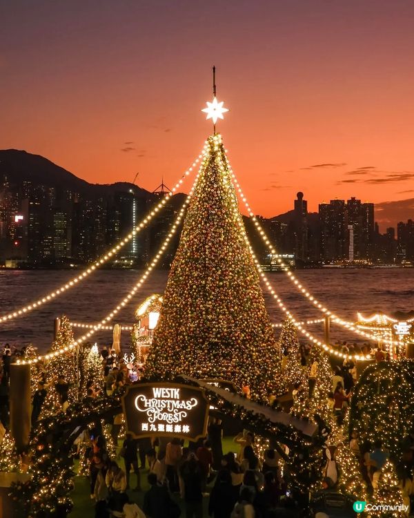 香港聖誕隨心遊記(二)