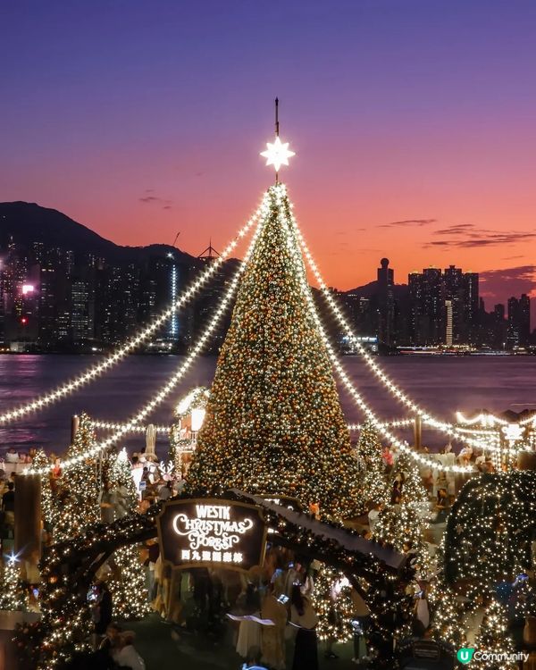 香港聖誕隨心遊記(二)