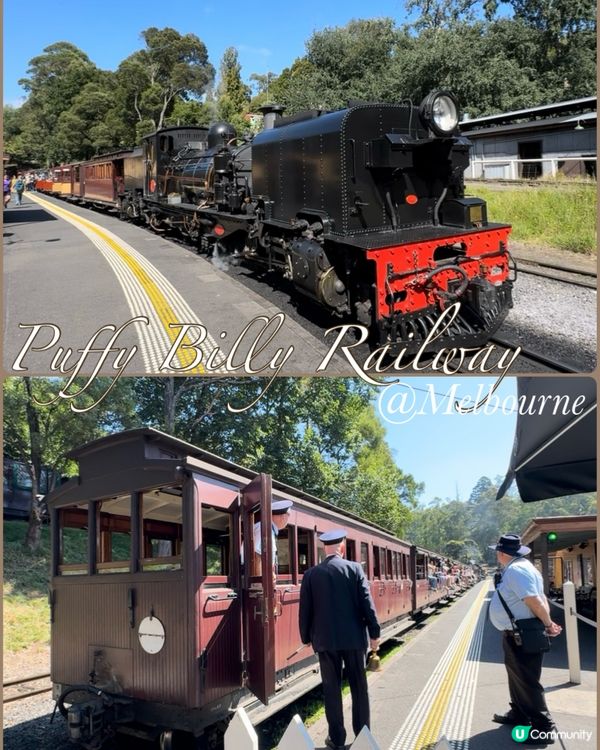 墨爾本百年歷史懷舊火車🚂！全攻略！🤩