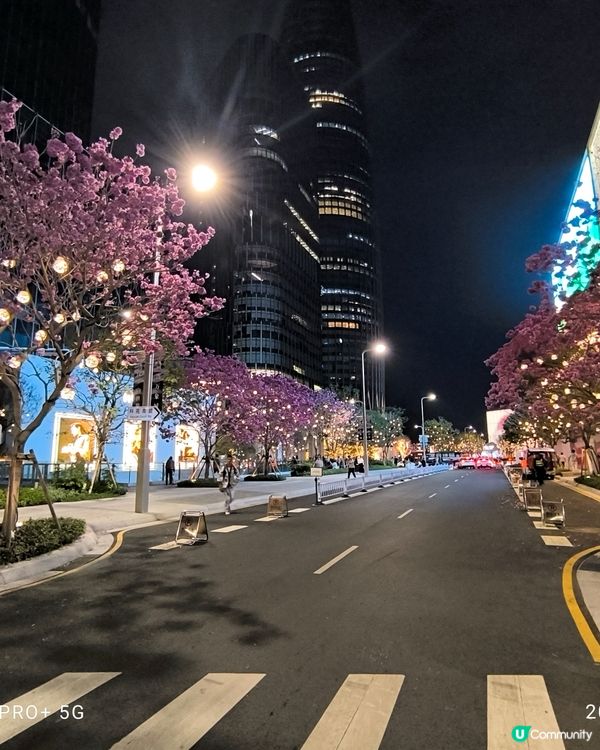 深圳灣萬象城聖誕貓